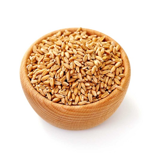 Organic Wheat (Jave)